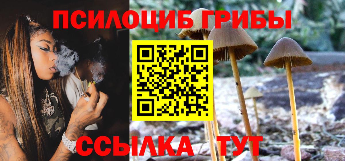 Галлюциногенные грибы Cubensis Югорск